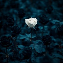 Dying To Be Different