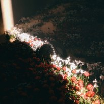 Cómo No Voy A Creer