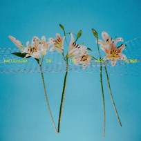 Hallelujah In The Hard Things